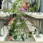 I en af hallerne var der en international konkurrence i blomsterbinding. Der blev lavet spændende opsatser i mange forskellige former og farver.